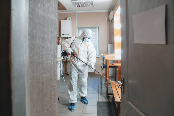 Environmental Consulting for Mold Prevention